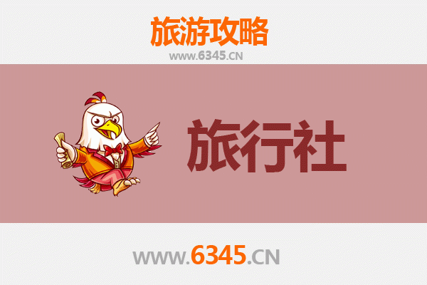 普洱宁洱本地旅行社精选推荐及深度游玩攻略