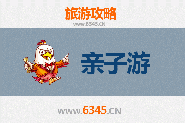 普洱宁洱亲子游攻略：探索茶马古道，体验自然与文化的亲子之旅