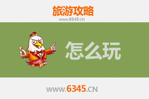 节假日宁洱深度游：茶马古道探秘与自然风情体验