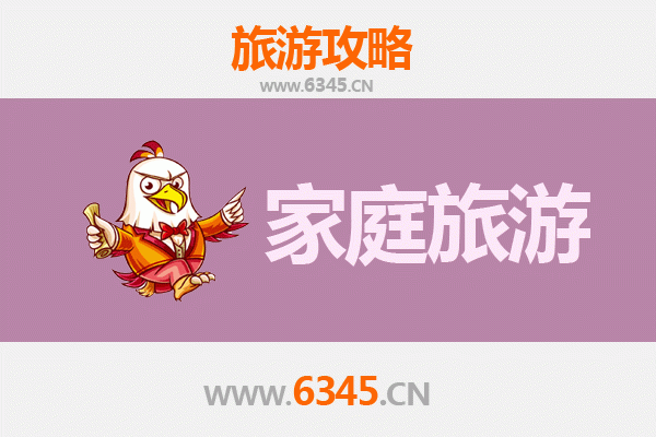 普洱宁洱家庭亲子游全攻略：茶马古道探秘与自然奇观之旅